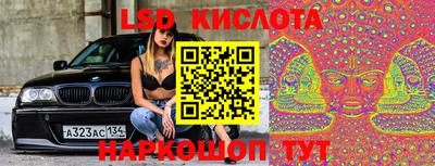 сатива Кандалакша