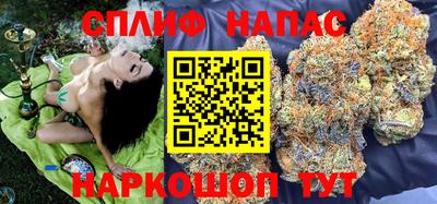 a pvp Кингисепп