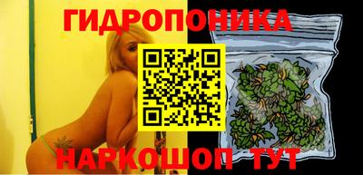 сатива Кандалакша