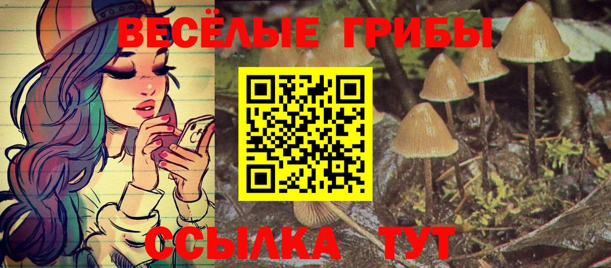Псилоцибиновые грибы прущие грибы Зеленокумск